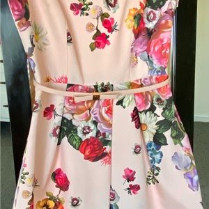 COPY - Gorgeous Ted Baker Fit and Flare dress. Size 2